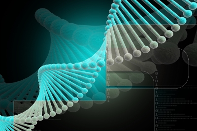 Research Paper: Social Implications of DNA Decoding